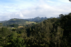 vue sur les kaimai